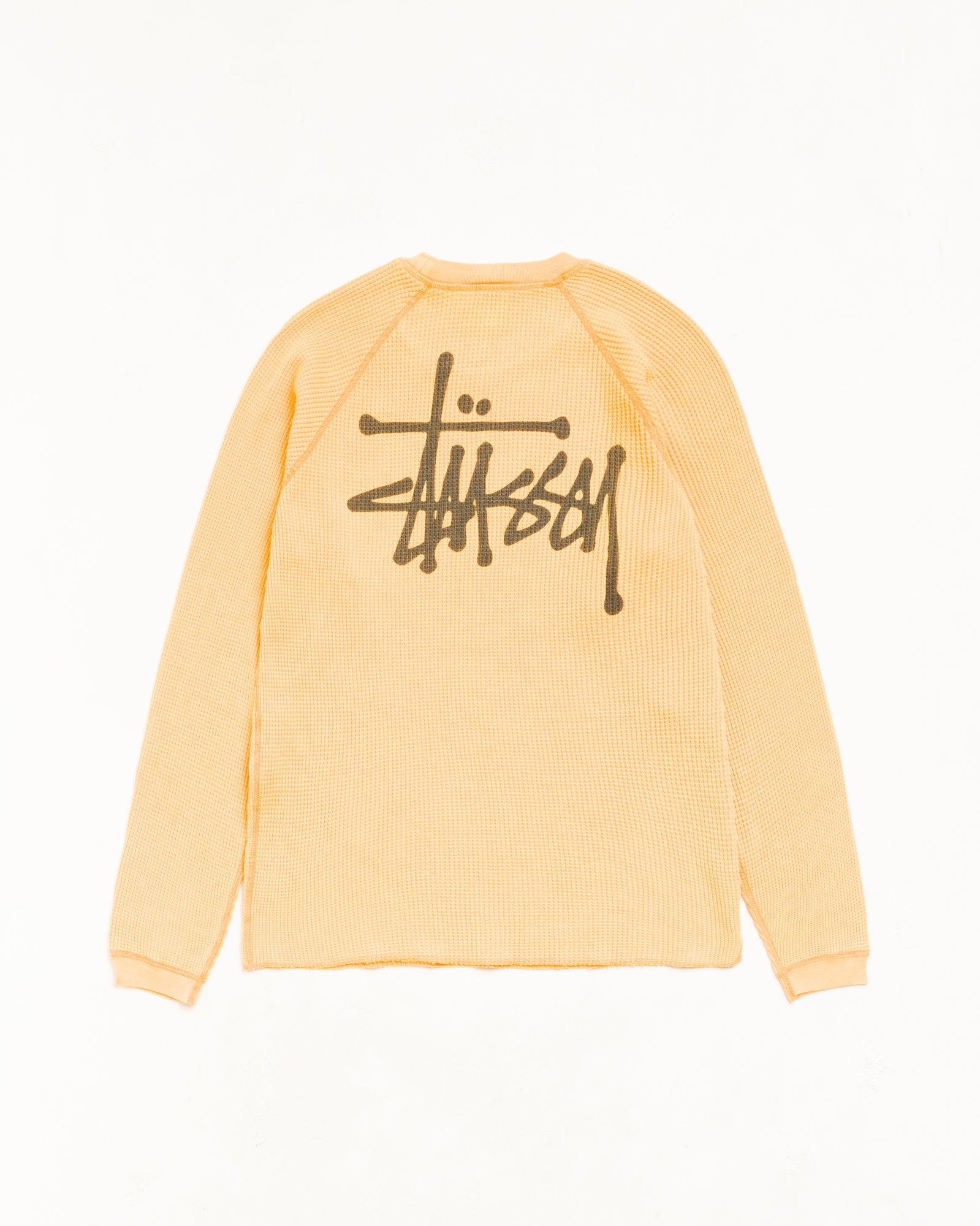 Alternative view of BASIC STÜSSY THERMAL