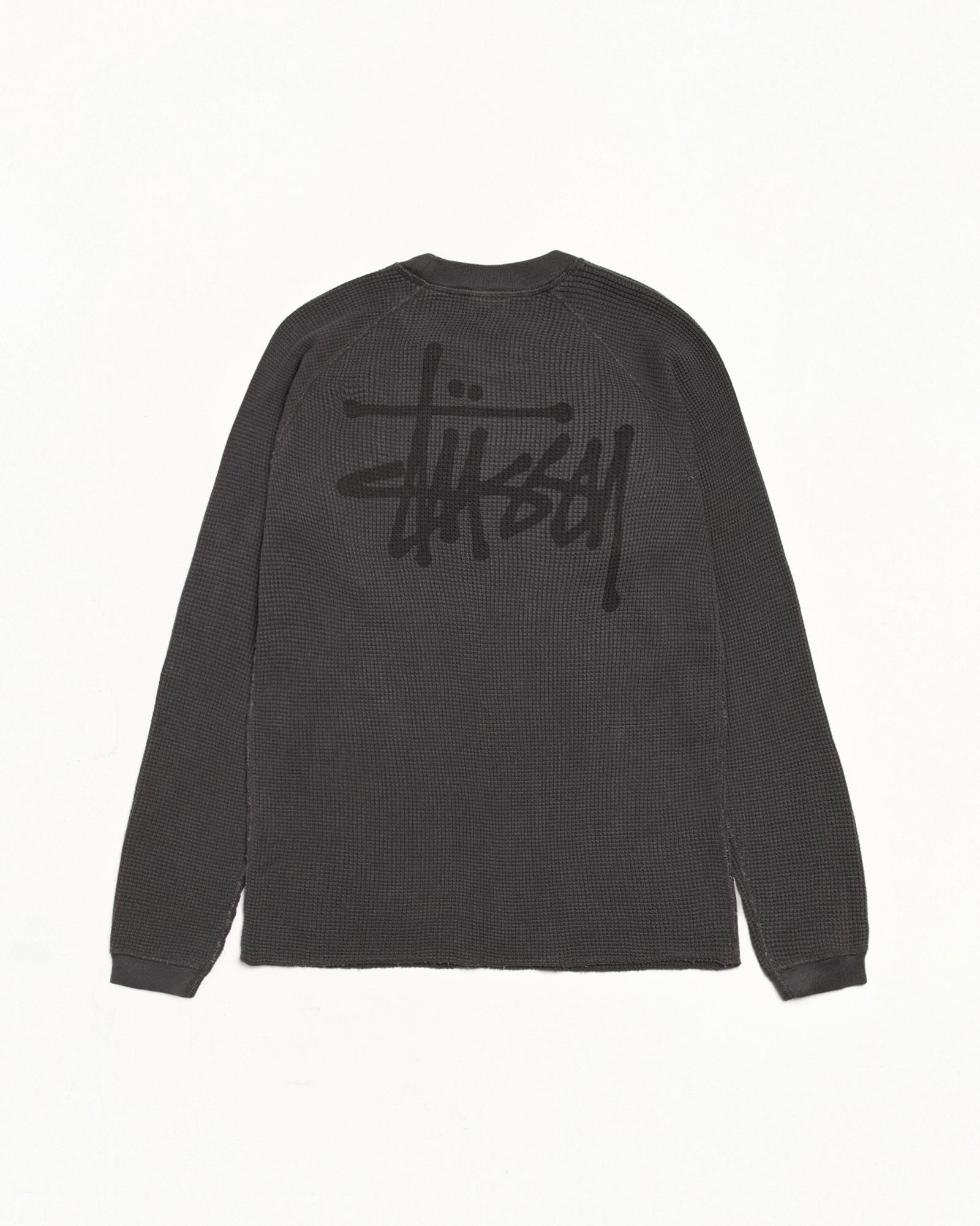 Alternative view of BASIC STÜSSY THERMAL