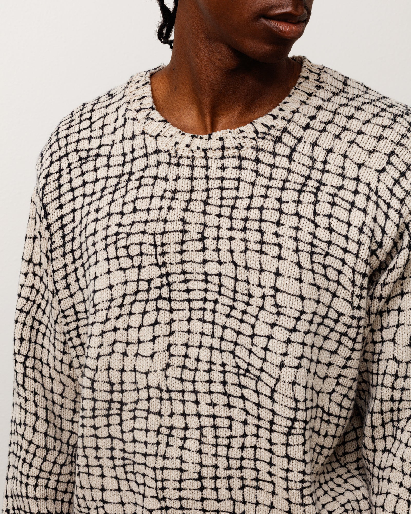 Alternative view of MESH PRINT SWEATER