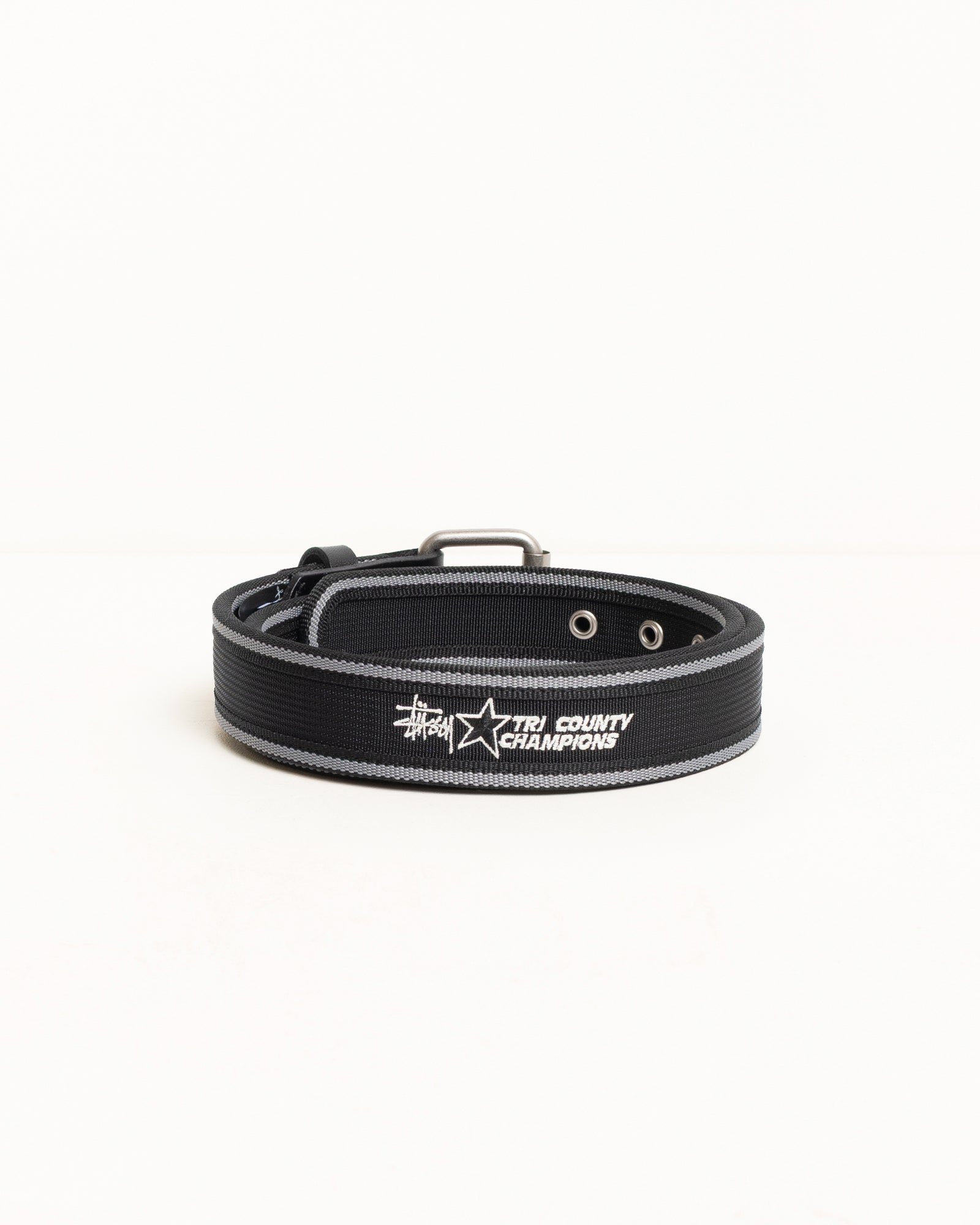 Alternative view of TRI COUNTY WEBBING BELT