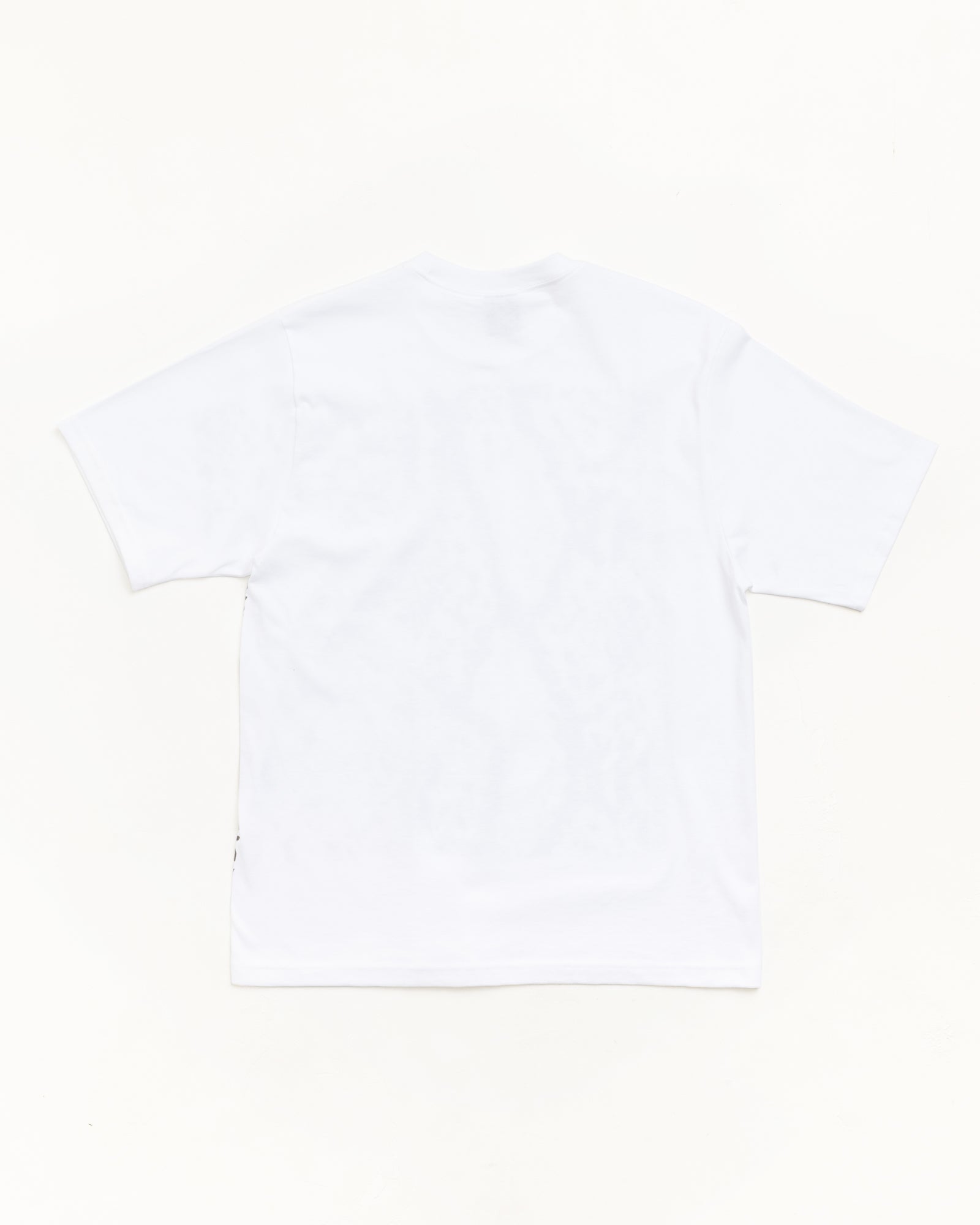 Alternative view of SNAKESKIN TEE